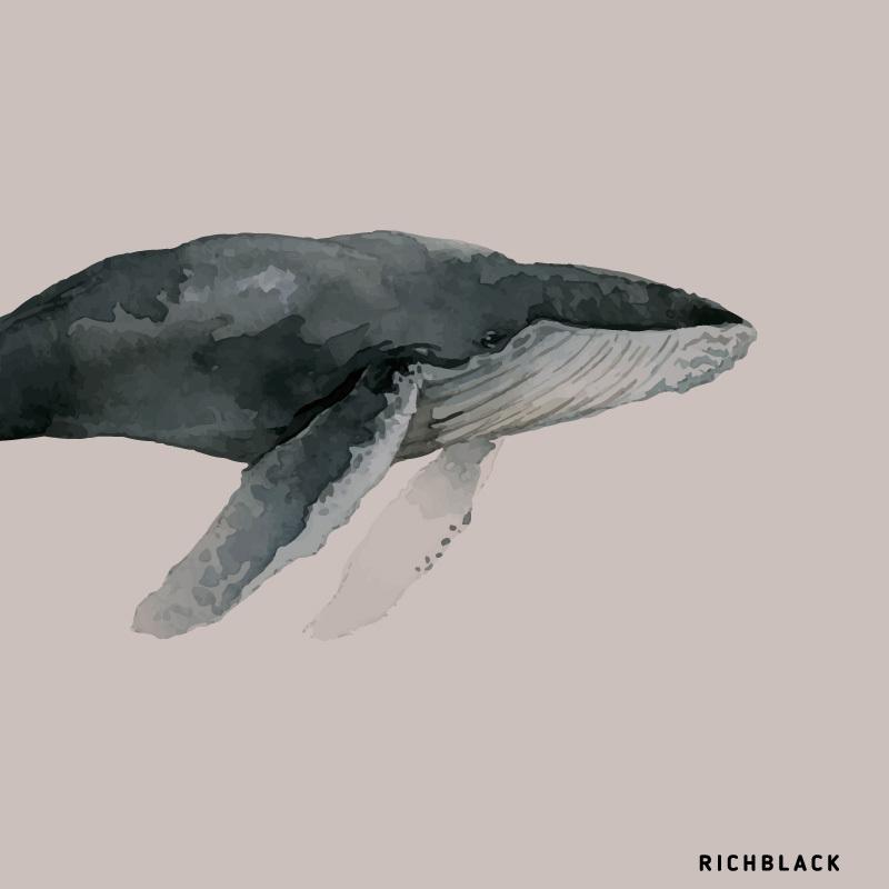 クジラ 水彩風 ポスター A1 全3色 :rb0353-1a1:RICHBLACK - 通販 