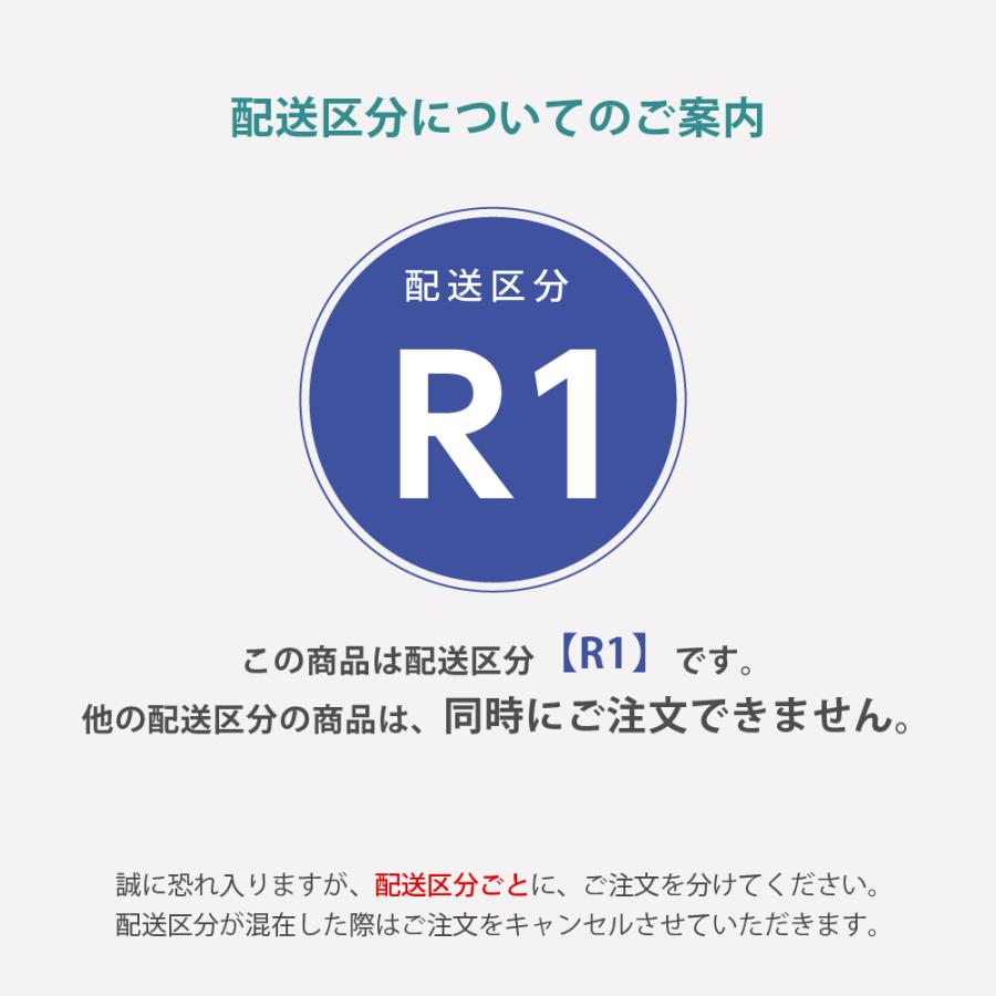 【配送区分R1】キャンピングキャリーR バックル4個組  部品 パーツ 替え クレート キャリー 用 ペット 犬 猫 リッチェル公式 | リッチェル | 01