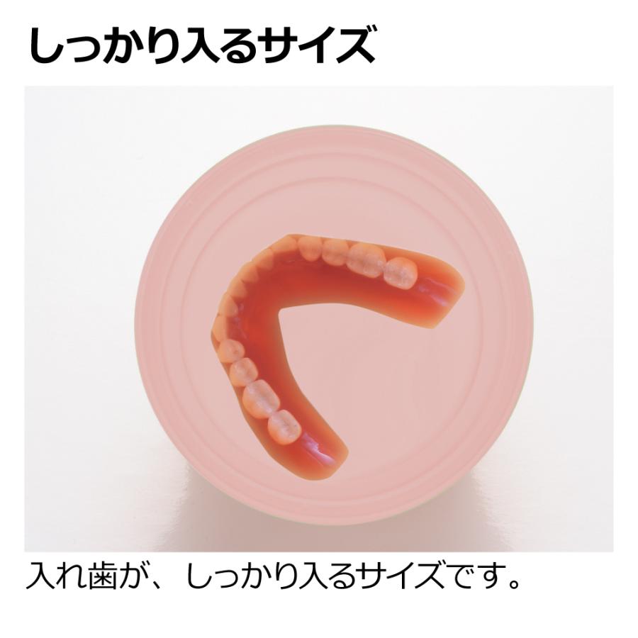 使っていいね! 入れ歯ケース 入れ歯洗浄ケース 老人用 携帯用 洗浄剤対応 持ち運び おしゃれ 可愛い かわいい 防水 リッチェル | リッチェル | 04