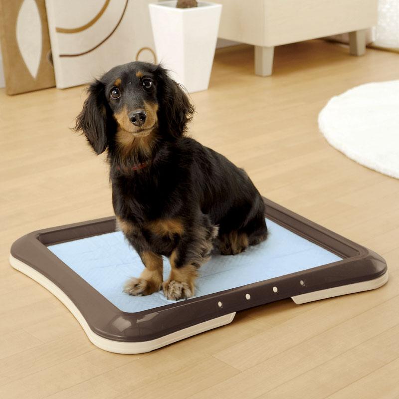 トイレトレー 犬 ペット用 わくわくシーツトレー レギュラー  トイレトレーニング ペットシーツ リッチェル | リッチェル | 03