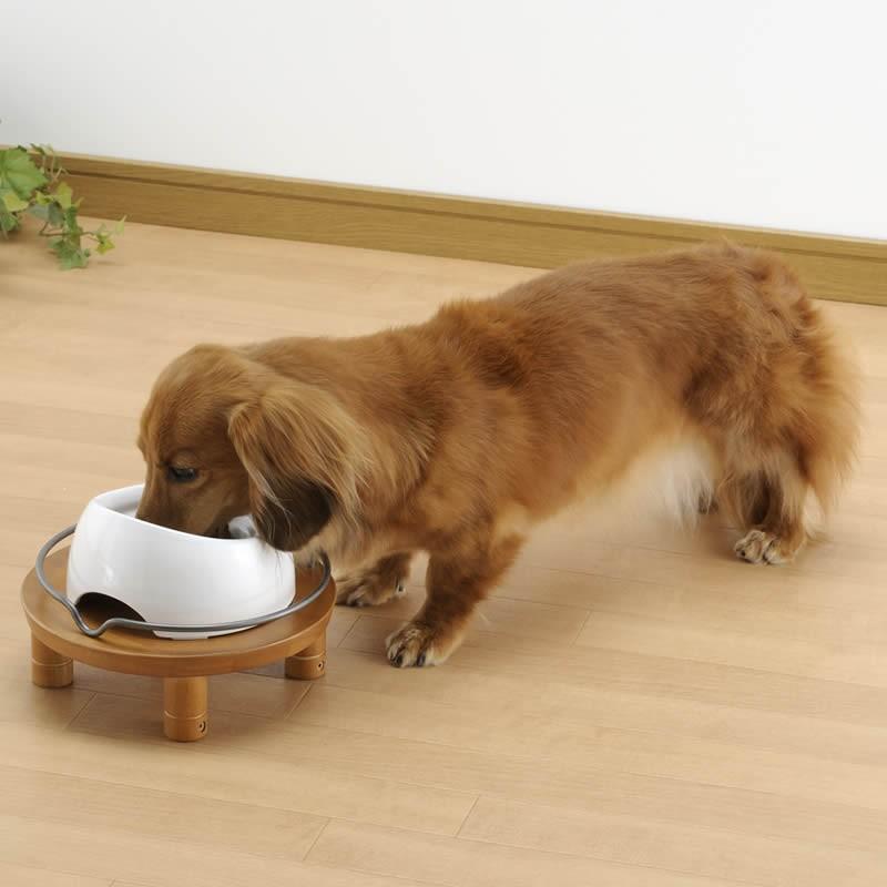 犬 食器台 ペット用 木製テーブル シングル 食器 フードボウル スタンド 食事台 リッチェル | リッチェル | 03