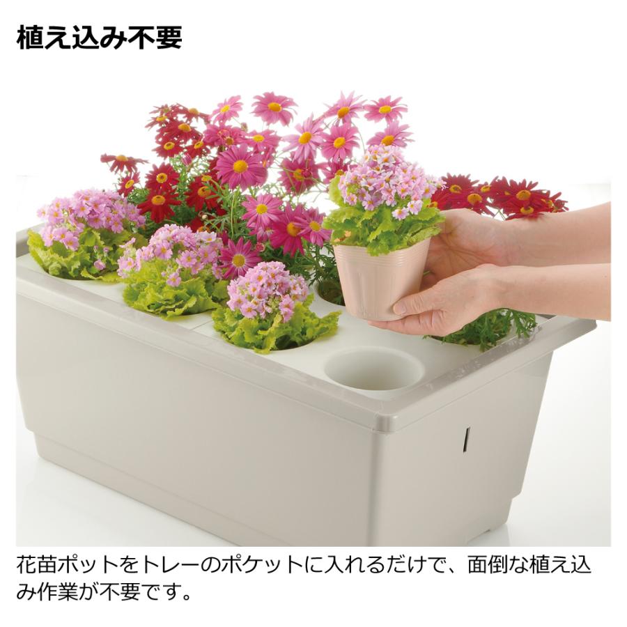 ポットインプランター ワイド68型 070207 リッチェル Richell 公式ショップ | リッチェル | 03