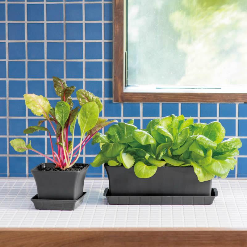 ベビーリーフプランター 27型N 070451 リッチェル Richell 公式ショップ | リッチェル | 03