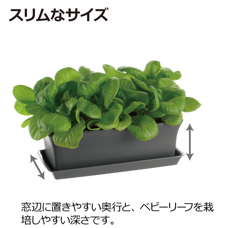 ベビーリーフプランター 27型N 070451 リッチェル Richell 公式ショップ | リッチェル | 06