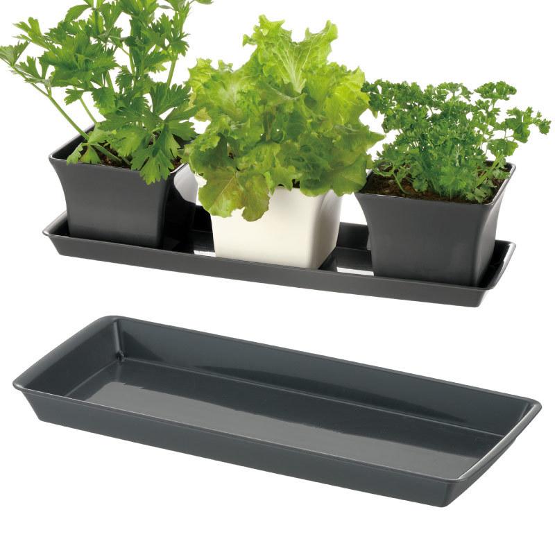 ベビーリーフプレート 40型N 070491 リッチェル Richell 公式ショップ | リッチェル | 03