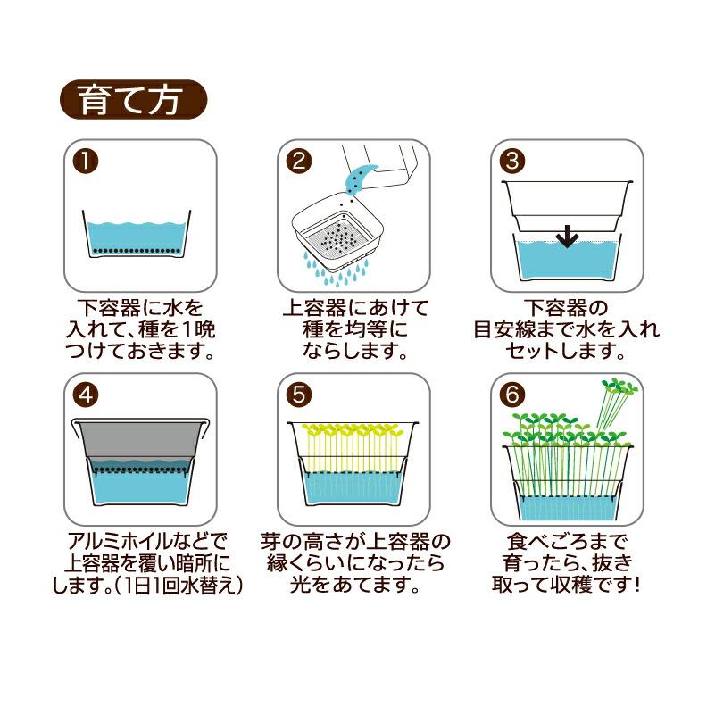 スプラウトファーム 24型N 070511 リッチェル Richell 公式ショップ | リッチェル | 12