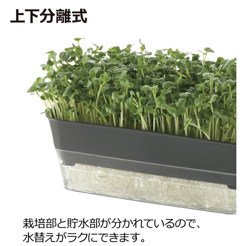 スプラウトファーム 24型N 070511 リッチェル Richell 公式ショップ | リッチェル | 13