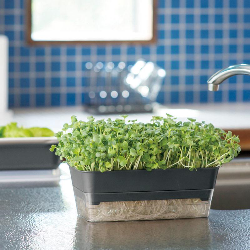 スプラウトファーム 24型N 070511 リッチェル Richell 公式ショップ | リッチェル | 10