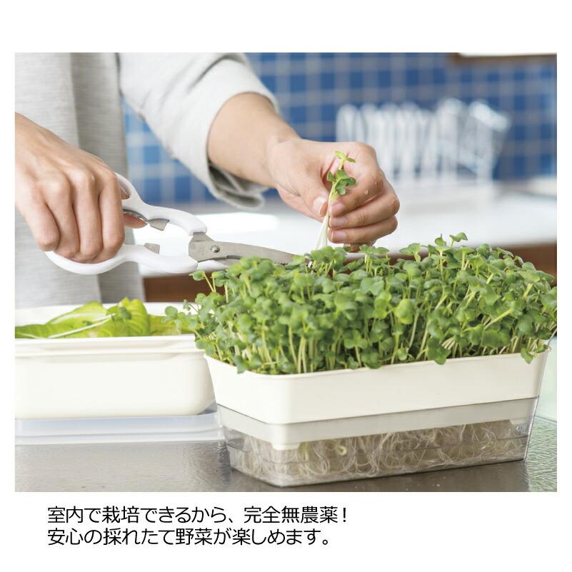 スプラウトファーム 24型N 070511 リッチェル Richell 公式ショップ | リッチェル | 11