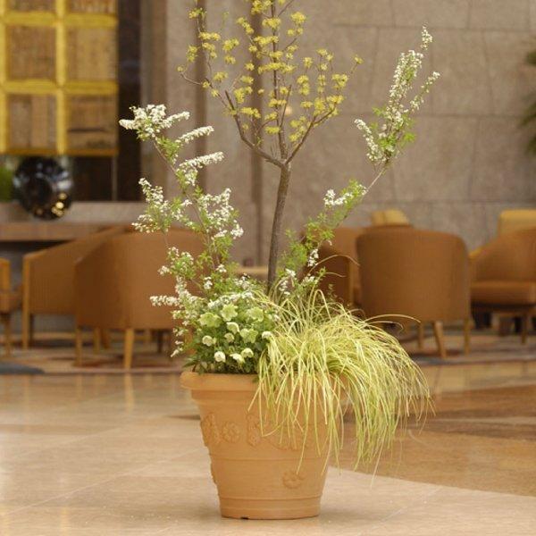 アンティコ 鉢 55型 071231 リッチェル Richell 公式ショップ | リッチェル | 05