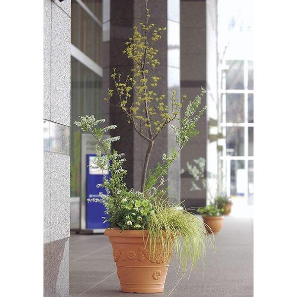 アンティコ 鉢 55型 071231 リッチェル Richell 公式ショップ | リッチェル | 06