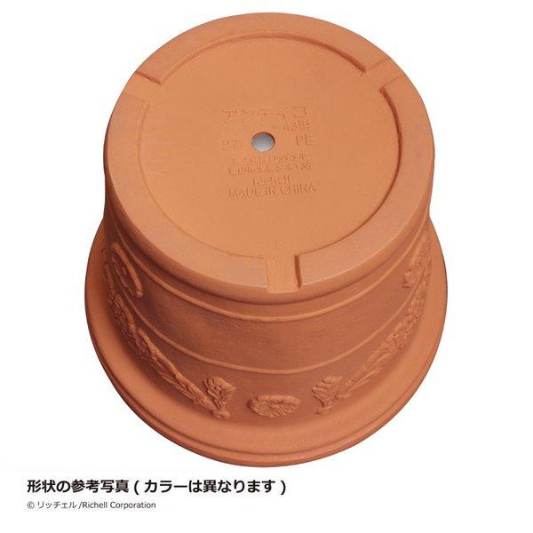 アンティコ 鉢 80型 071251 リッチェル Richell 公式ショップ | リッチェル | 03