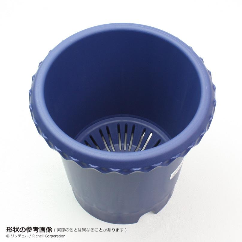 鉢 植え バラ鉢 8号 リッチェル プランター おしゃれ バラ 花 栽培 丸 型 植木 鉢 ガーデ ン ニング | リッチェル | 06