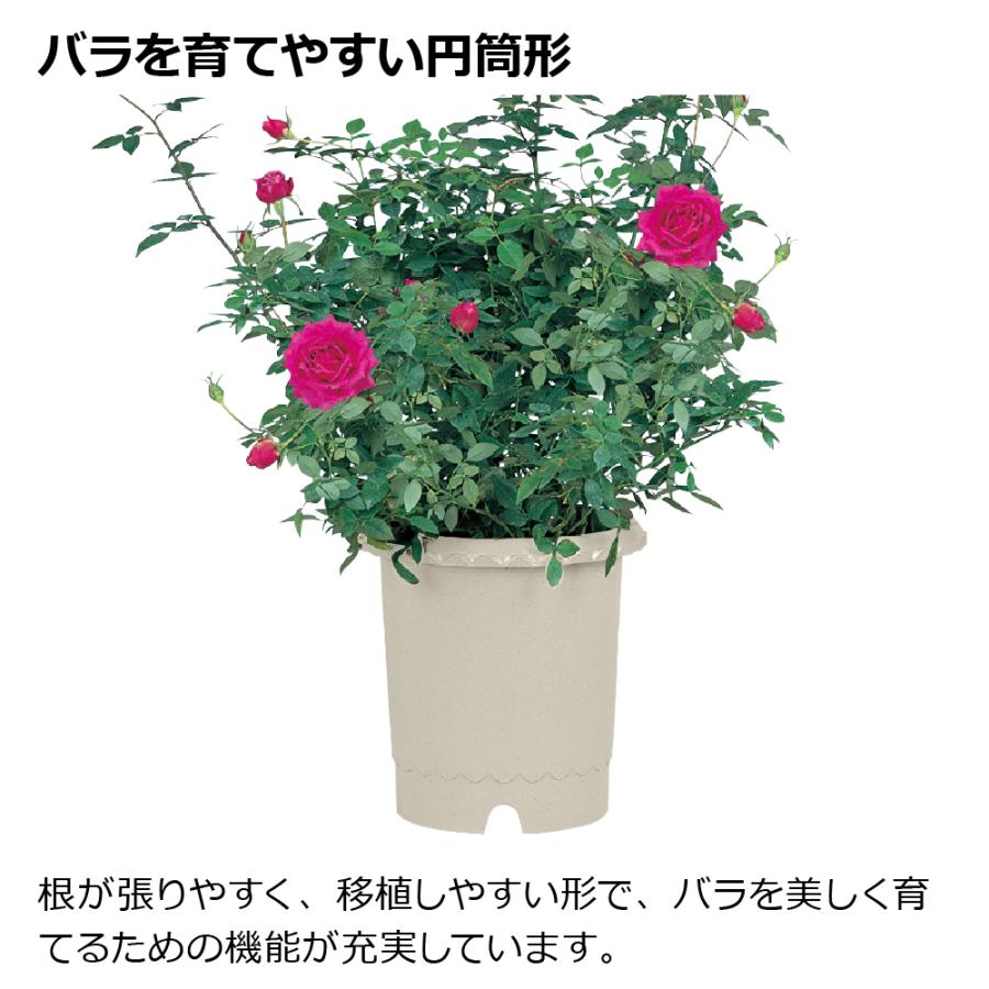 ES バラ鉢 8号 園芸 ガーデン ガーデニング 植木 鉢 ポット おしゃれ ボタニカル プラスチック クリスマスローズ 母の日 リッチェル公式ショップ Richell | リッチェル | 02