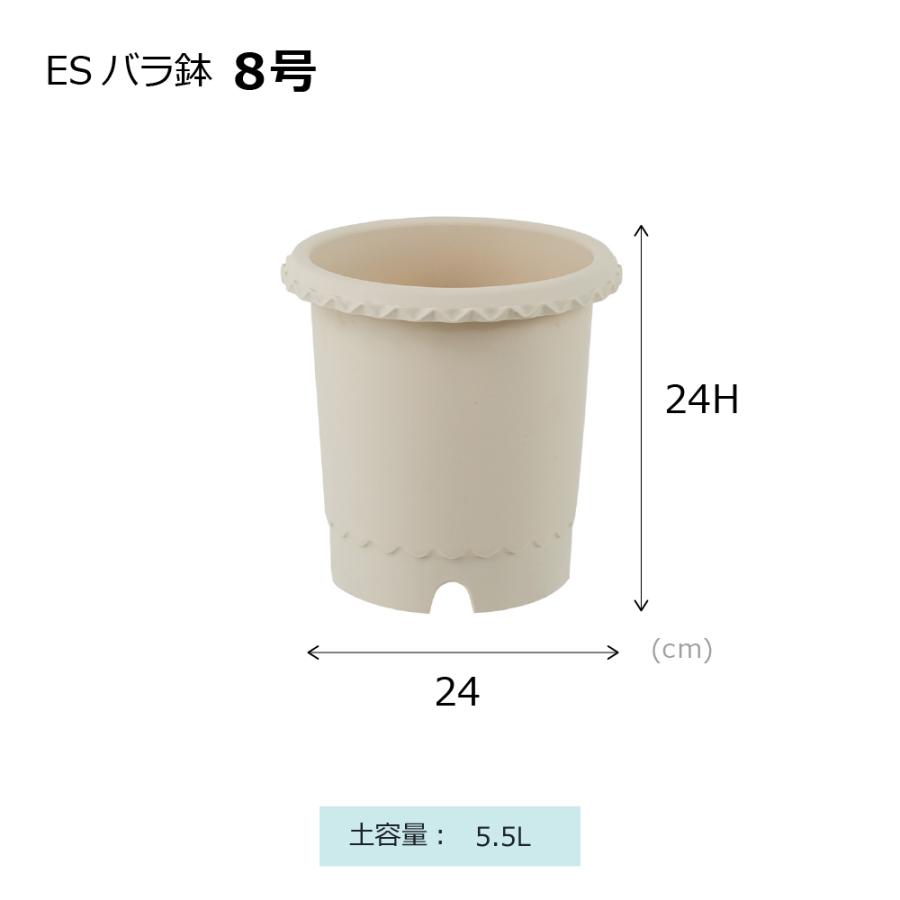 ES バラ鉢 8号 園芸 ガーデン ガーデニング 植木 鉢 ポット おしゃれ ボタニカル プラスチック クリスマスローズ 母の日 リッチェル公式ショップ Richell | リッチェル | 09