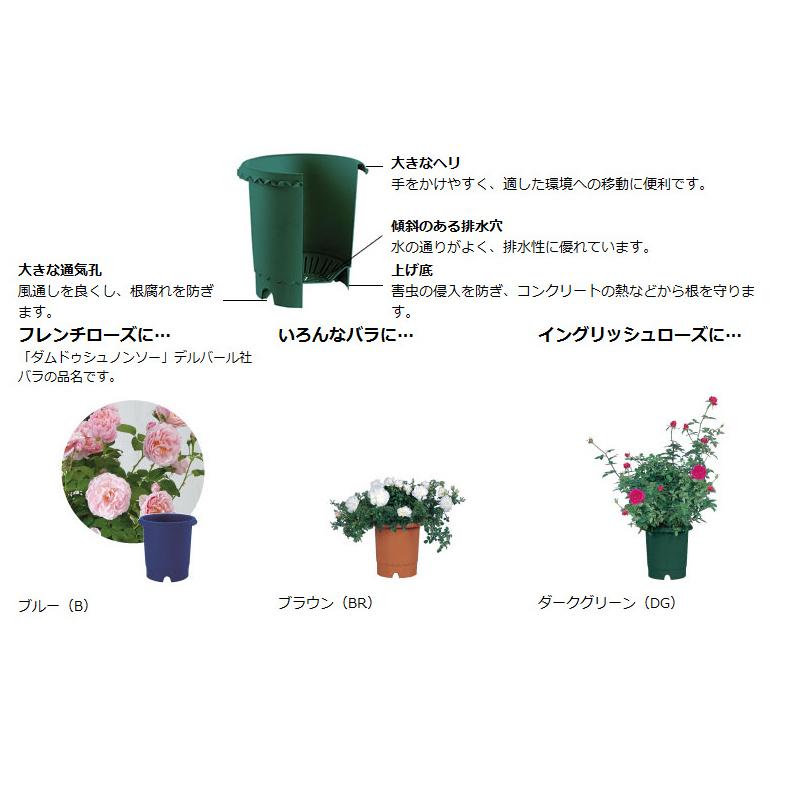 バラ鉢 10号 071600 リッチェル Richell 公式ショップ | リッチェル | 05