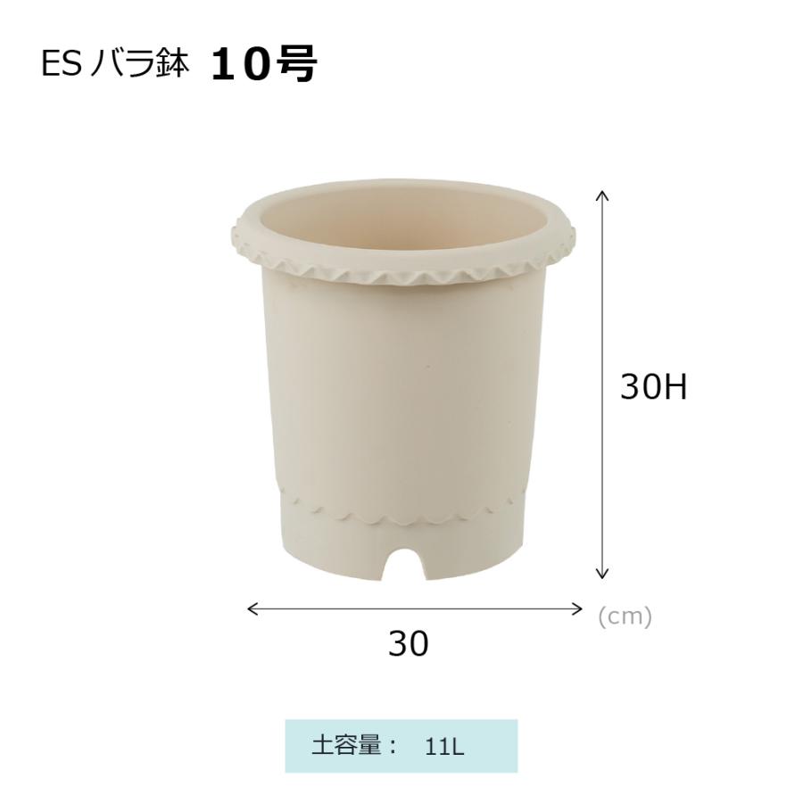 ES バラ鉢 10号 園芸 ガーデン ガーデニング 植木 鉢 ポット おしゃれ ボタニカル プラスチック クリスマスローズ 母の日 リッチェル公式ショップ Richell | リッチェル | 09