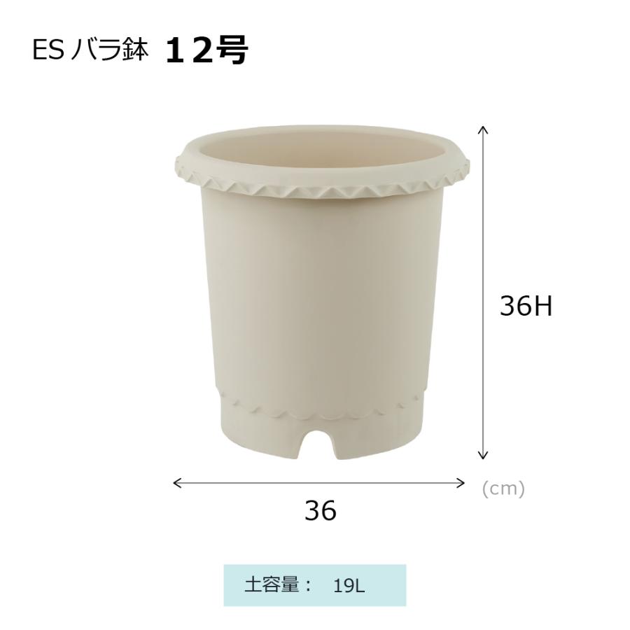 ES バラ鉢 12号 園芸 ガーデン ガーデニング 植木 鉢 ポット おしゃれ ボタニカル プラスチック クリスマスローズ 母の日 リッチェル公式ショップ Richell | リッチェル | 09