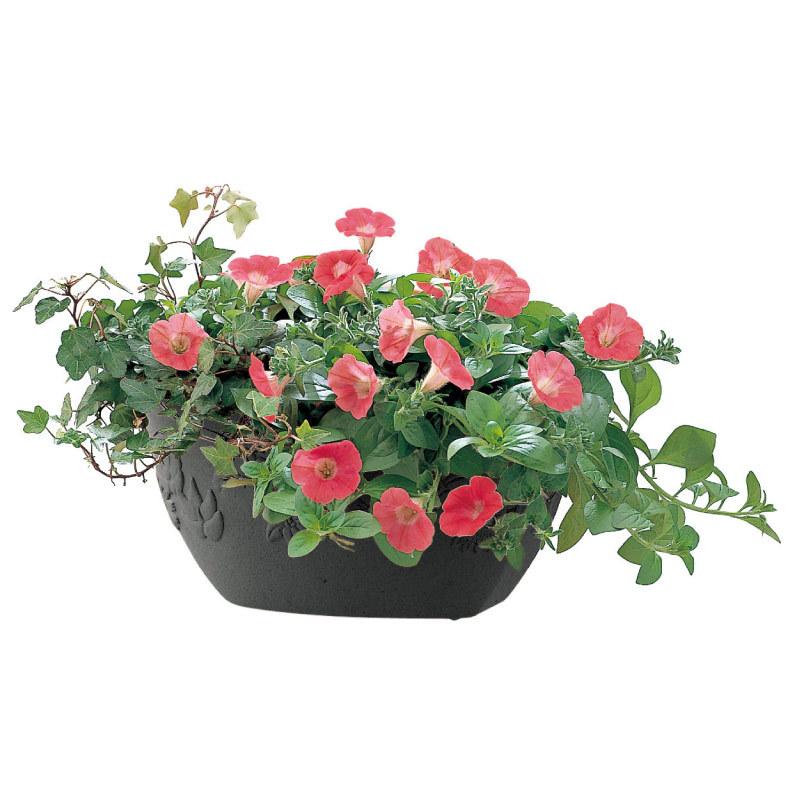 プランター 壁掛け ハナール 壁かけ 28型 リッチェル おしゃれ 植木 鉢 植え ガーデ ン ニング プラスチック | リッチェル | 04