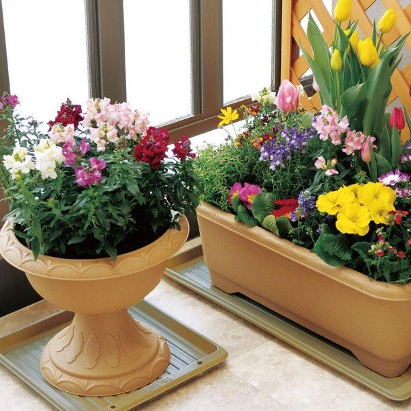 プランタープレート 35 071911 リッチェル Richell 公式ショップ | リッチェル | 04