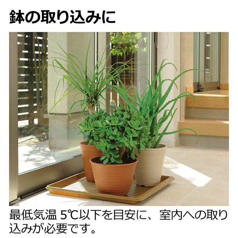 プランタープレート 45 071921 リッチェル Richell 公式ショップ | リッチェル | 06