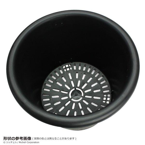 菊鉢 9号 071991 リッチェル Richell 公式ショップ | リッチェル | 02