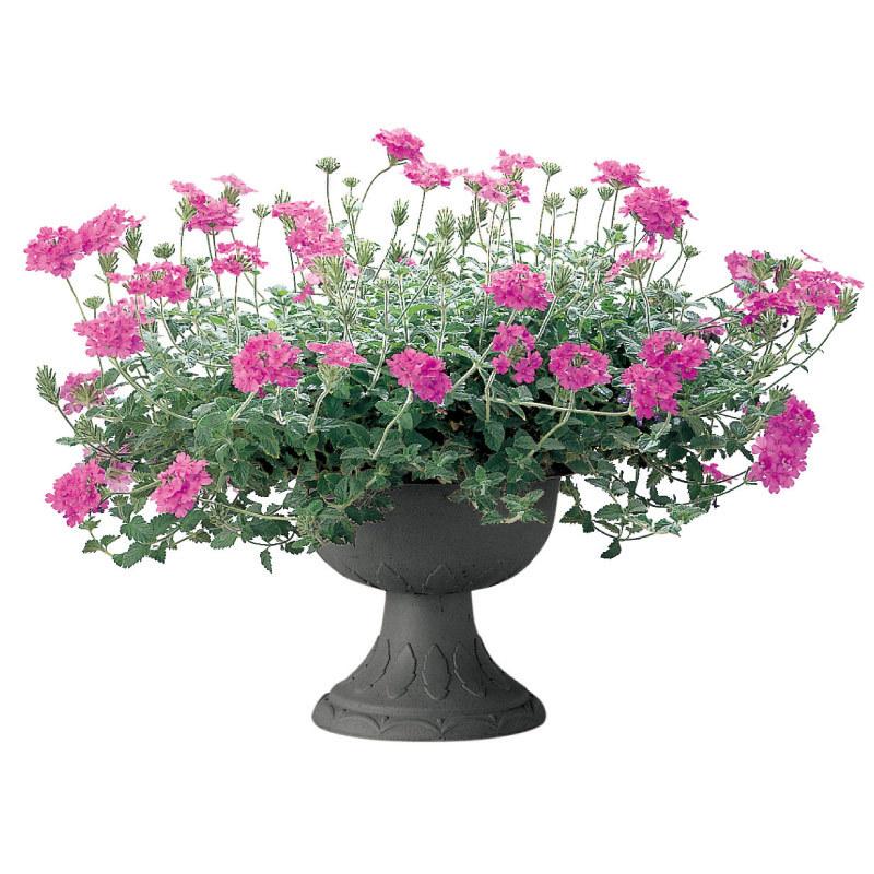 ハナール スタンドカップ 30型 072230 リッチェル Richell 公式ショップ | リッチェル | 04