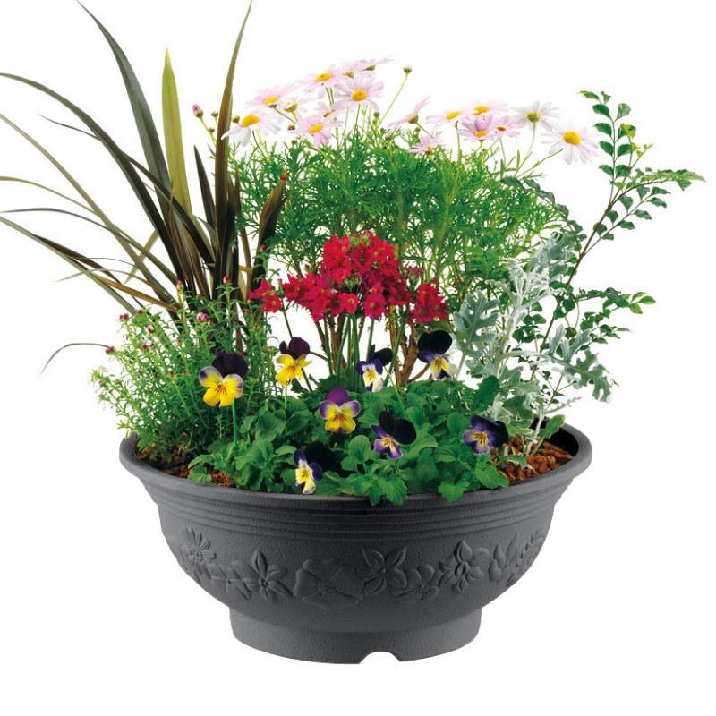 ハナール ボール 36型 072720 リッチェル Richell 公式ショップ | リッチェル | 04