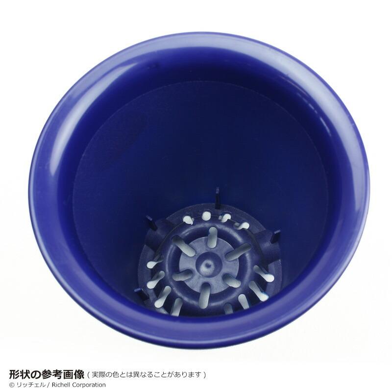 洋ラン鉢 5号 072853 リッチェル Richell 公式ショップ | リッチェル | 05