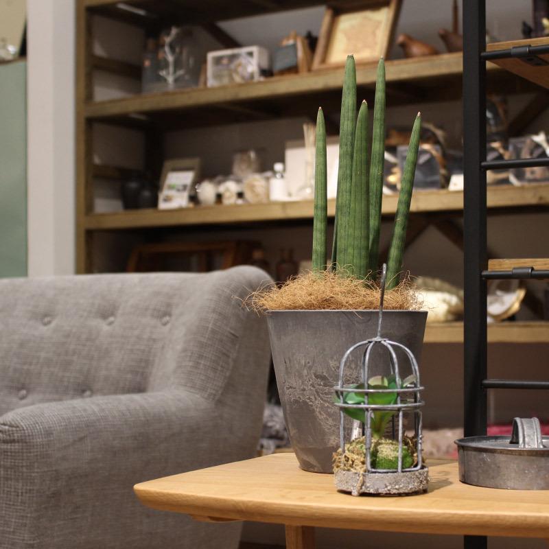 ボタニー プレーンポット 12型 073571 リッチェル Richell 公式ショップ | リッチェル | 05