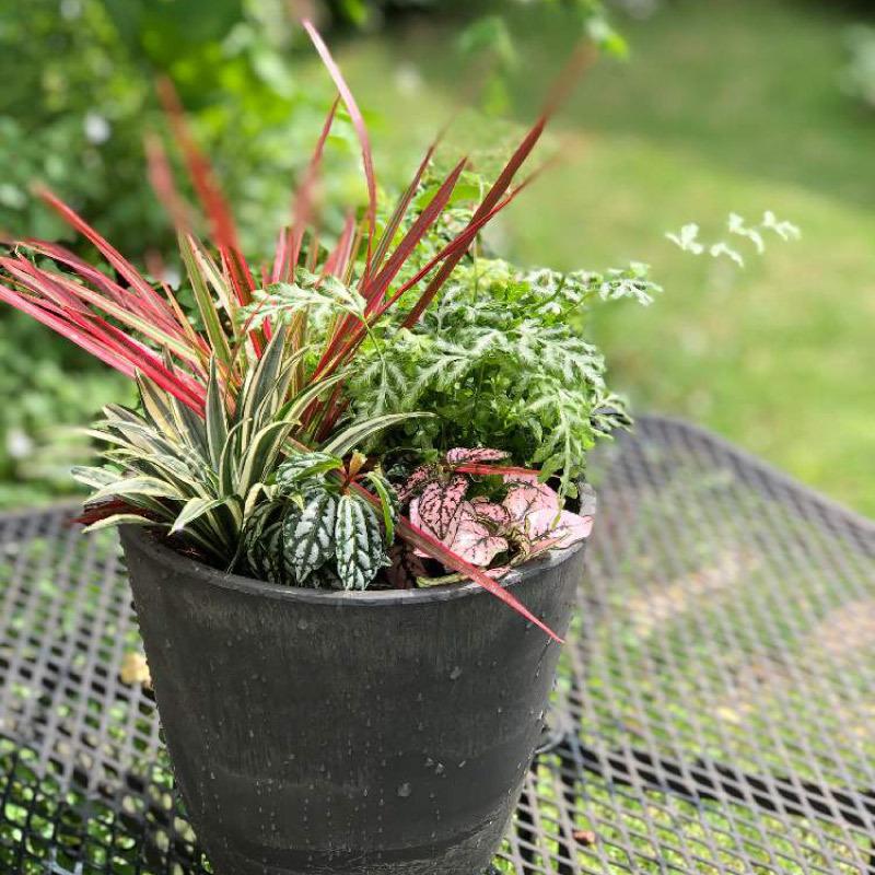 鉢 おしゃれ ボタニー プレーンポット 15型 リッチェル プラスチック 植え ガーデ ン ニング  室内 | リッチェル | 09