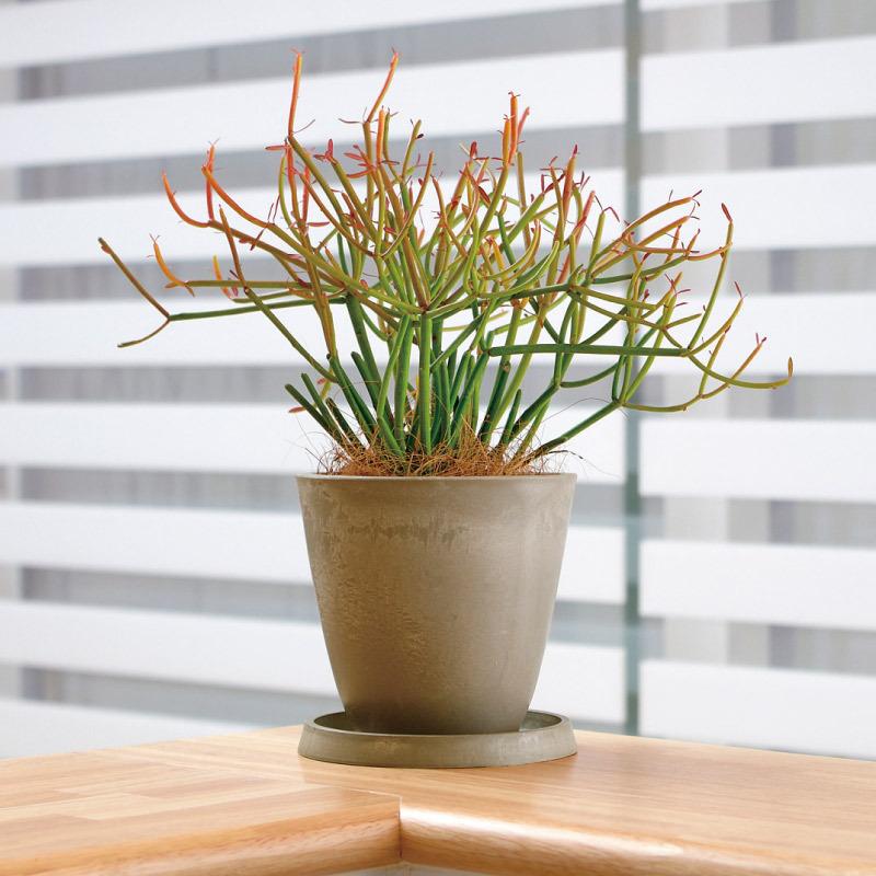 ボタニー プレーンポット 20型 073591 リッチェル Richell 公式ショップ | リッチェル | 07