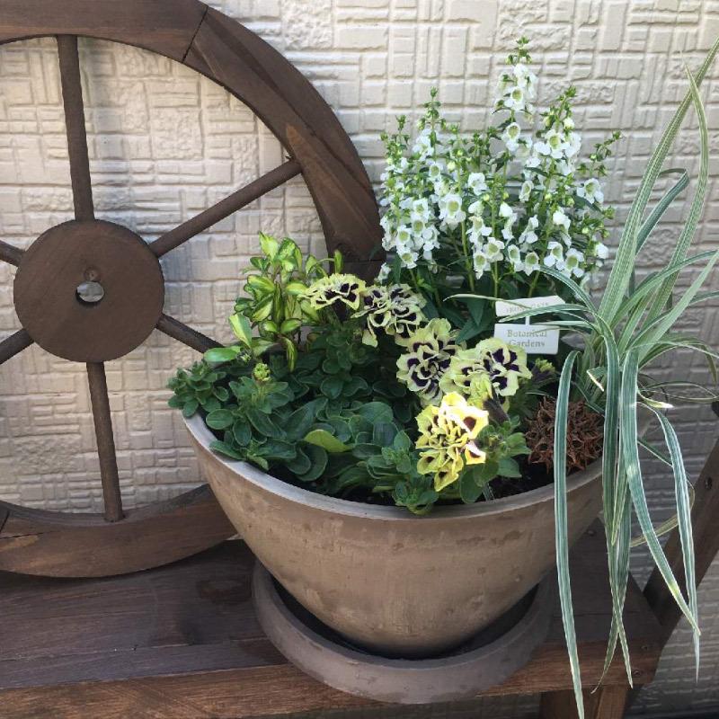 ボタニー バルカボール 25型 074811 リッチェル Richell 公式ショップ | リッチェル | 08