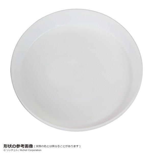 浅皿 7号 077471 リッチェル Richell 公式ショップ | リッチェル | 02