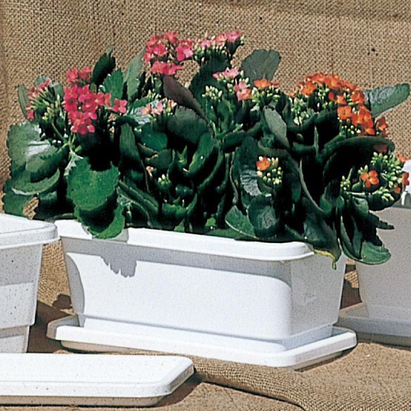 ミニプランター 38型 083281 リッチェル Richell 公式ショップ | リッチェル | 04