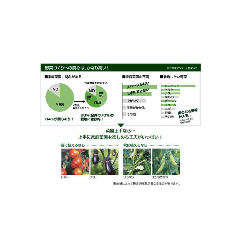 プランター 長方形 菜園上手 63型N リッチェル おしゃれ ガーデ ン ニング 植木 鉢 家庭 菜園 屋外 野菜 | リッチェル | 05