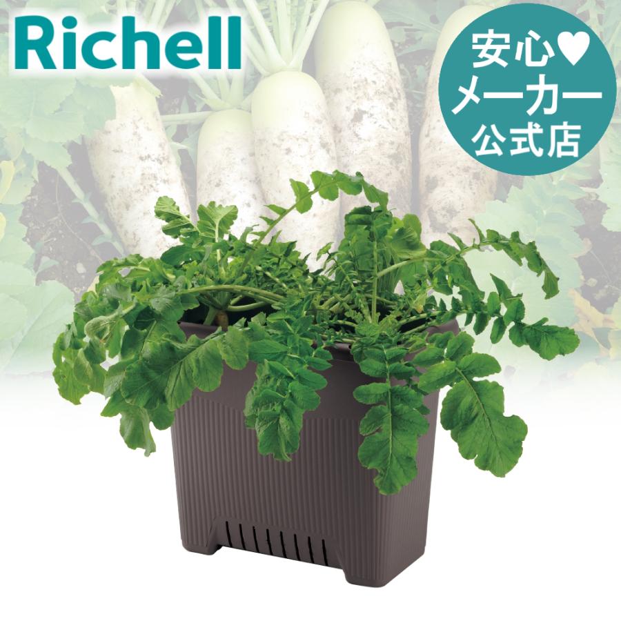プランター 長方形 菜園上手 深50型 リッチェル  おしゃれ 植木 鉢 菜園 大型 ガーデン 屋外 家庭 野菜 | リッチェル