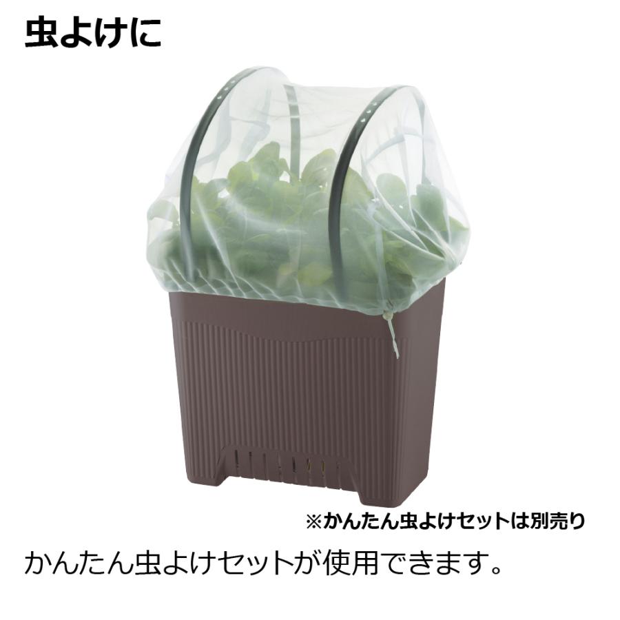 プランター 長方形 菜園上手 深50型 リッチェル  おしゃれ 植木 鉢 菜園 大型 ガーデン 屋外 家庭 野菜 | リッチェル | 11