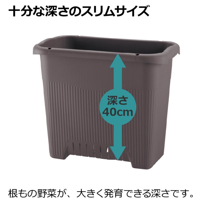 プランター 長方形 菜園上手 深50型 リッチェル  おしゃれ 植木 鉢 菜園 大型 ガーデン 屋外 家庭 野菜 | リッチェル | 06