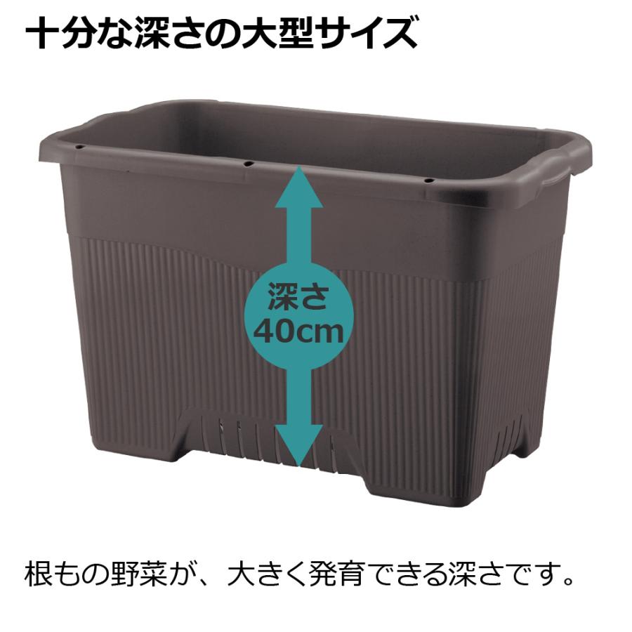 プランター 長方形 菜園上手 ジャンボ 65型 リッチェル 植木 鉢 菜園 大型 深さ 30cm おしゃれ 屋外 家庭 | リッチェル | 06
