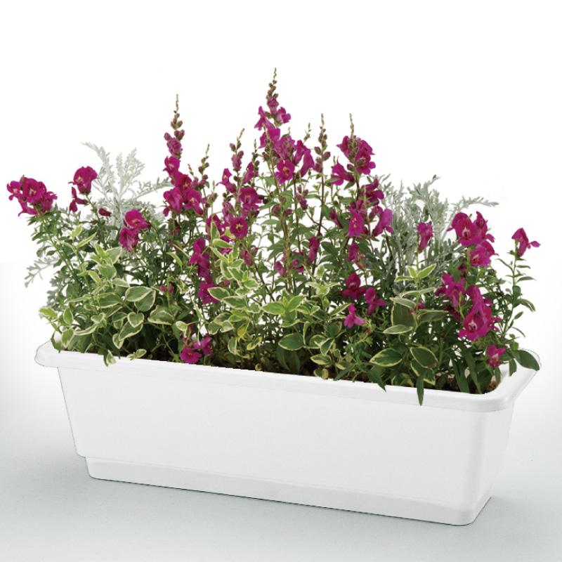 ホームプランター 65E 083520 リッチェル Richell 公式ショップ | リッチェル | 04