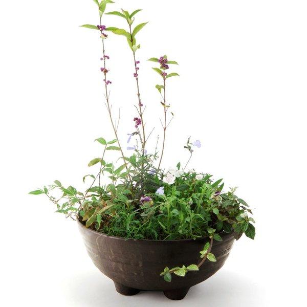 雅 ボール 30型 086401 リッチェル Richell 公式ショップ | リッチェル | 04