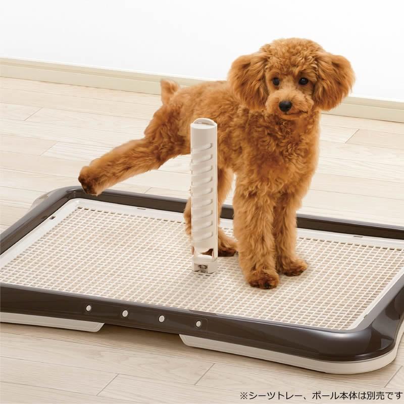 足上げオシッコポール用 取替えシーツ 089690 リッチェル Richell 公式ショップ | リッチェル | 02