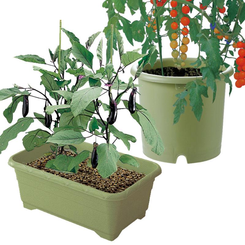 実のなるやさいプランター 65型 リッチェル Richell 公式ショップ | リッチェル | 02