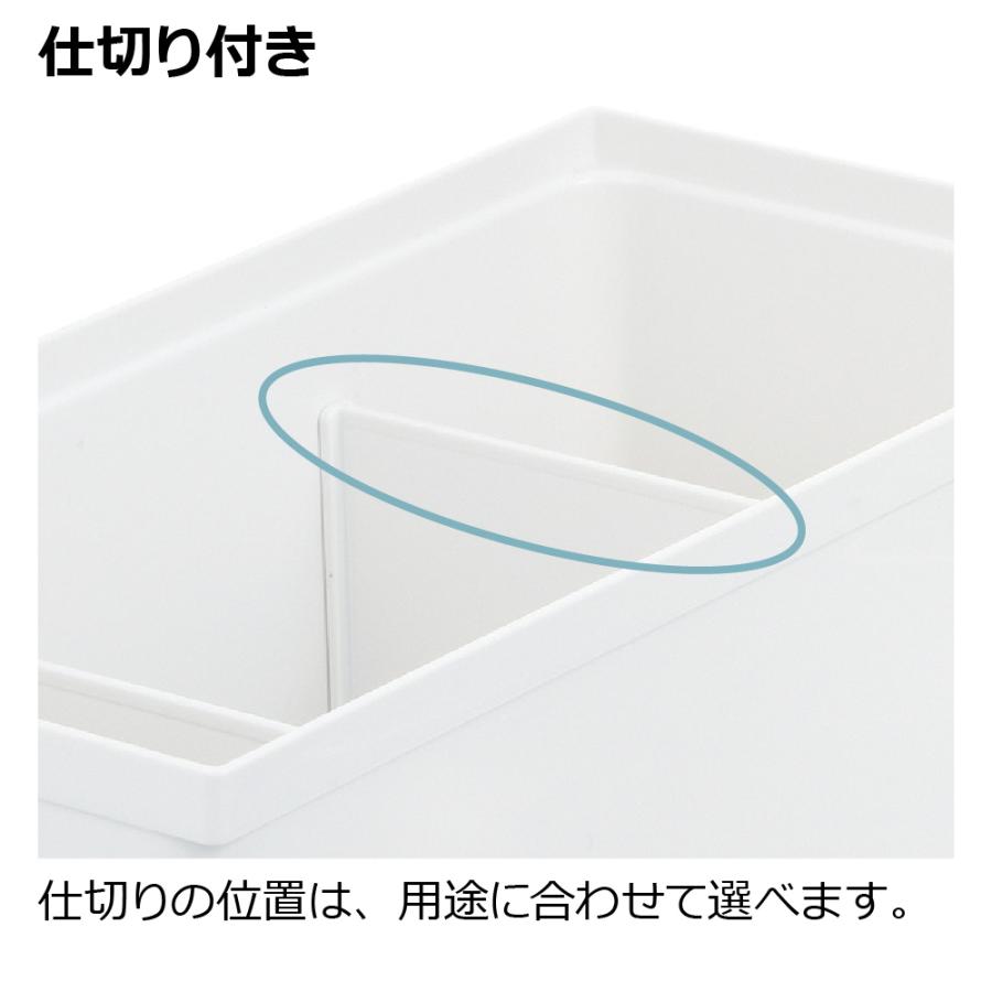キッチン 収納 トトノ 引き出し用 調味料収納ボックスR リッチェル キッチン収納ケース 調味料収納ケース | リッチェル | 06
