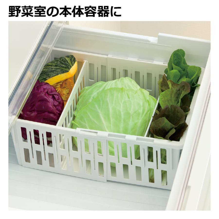 キッチン 収納 トトノ 野菜・冷凍室用 伸縮ストッカー深型 レギュラー リッチェル キッチン収納ケース 野菜収納ケース | リッチェル | 03