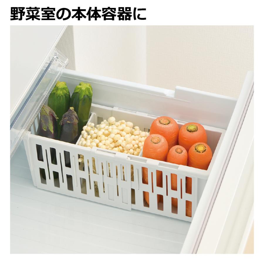 キッチン 収納 トトノ 野菜・冷凍室用 伸縮ストッカー深型 スリム リッチェル キッチン収納ケース 野菜収納ケース | リッチェル | 03