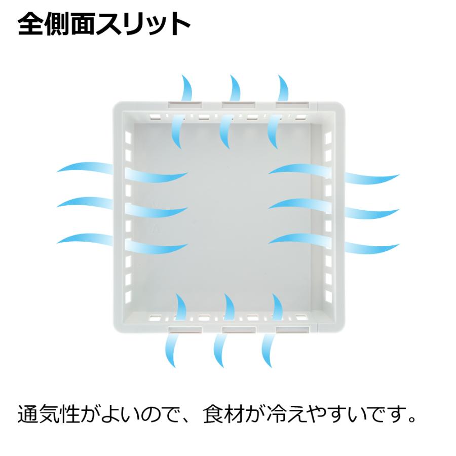 キッチン 収納 トトノ 野菜・冷凍室用 伸縮ストッカー浅型 レギュラー リッチェル キッチン収納ケース 野菜収納ケース | リッチェル | 06