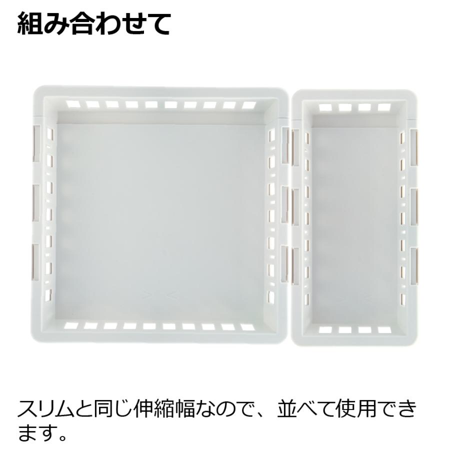 キッチン 収納 トトノ 野菜・冷凍室用 伸縮ストッカー浅型 レギュラー リッチェル キッチン収納ケース 野菜収納ケース | リッチェル | 08