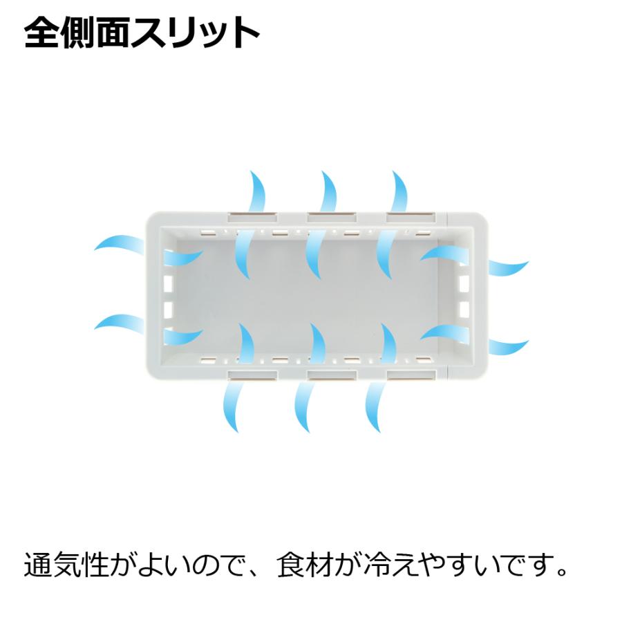 キッチン 収納 トトノ 野菜・冷凍室用 伸縮ストッカー浅型 スリム リッチェル キッチン収納ケース 野菜収納ケース | リッチェル | 06